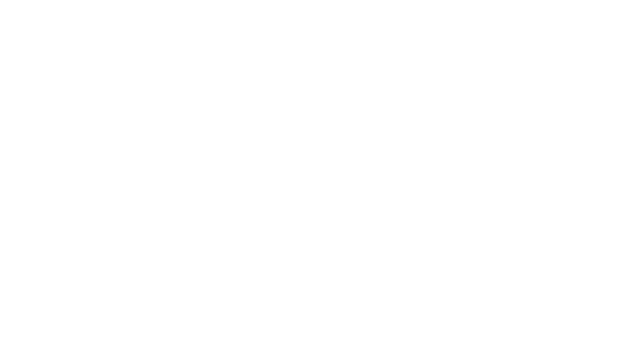 Interview Hyrgal