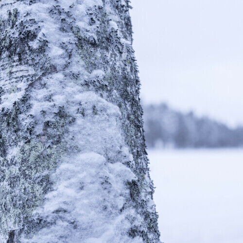 Laponie, Finlande